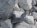 Patagonie 124